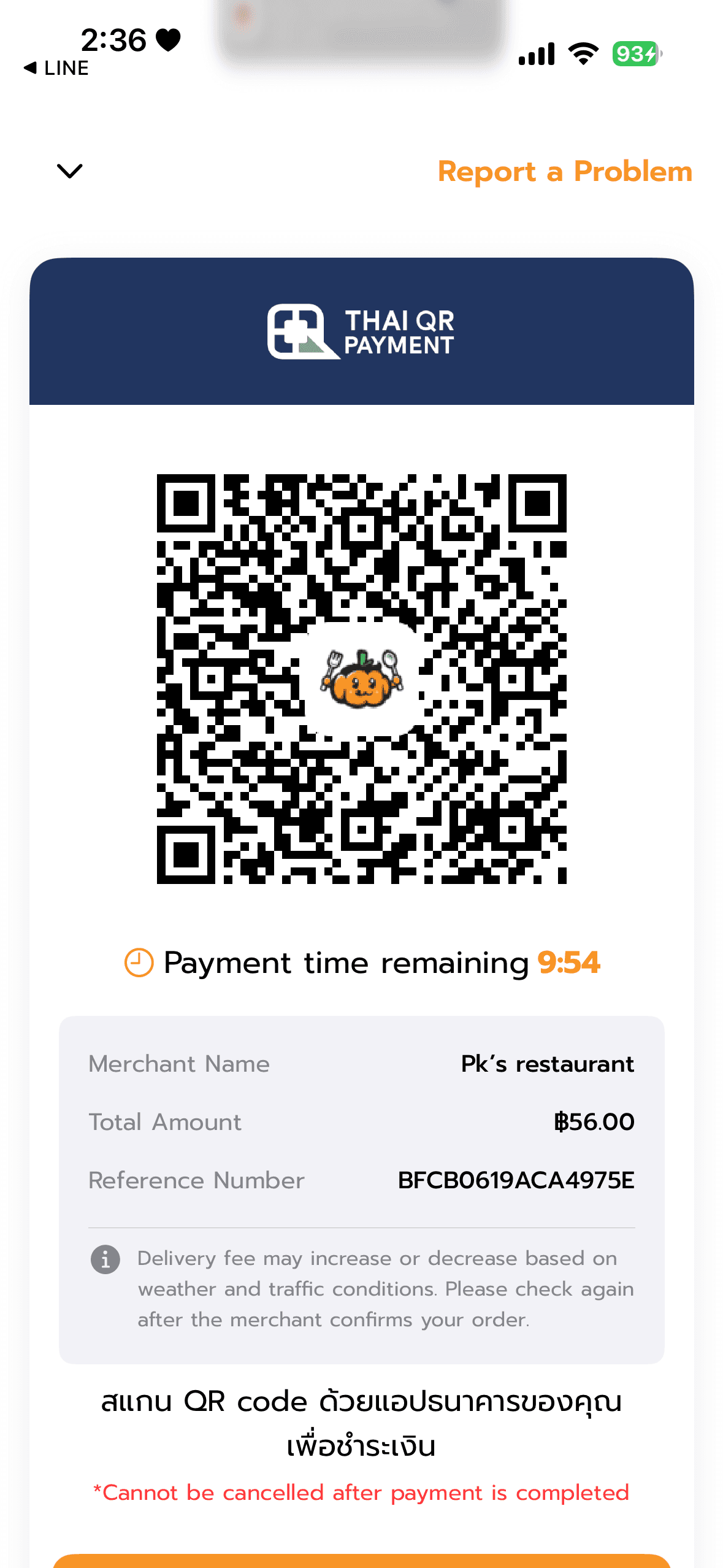 Payment view
